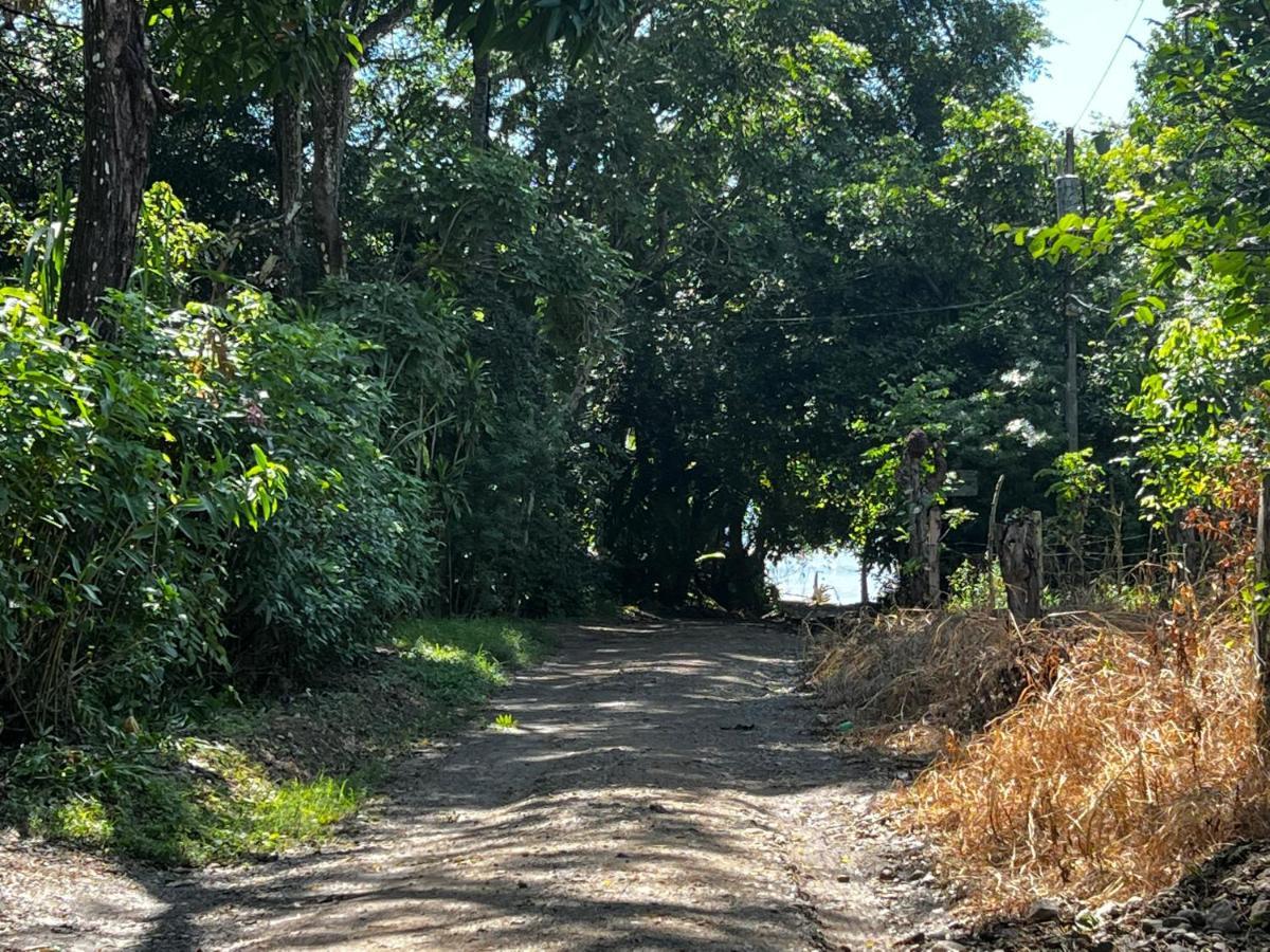 Las Plumas De Cabuya Cabuya  Bagian luar foto