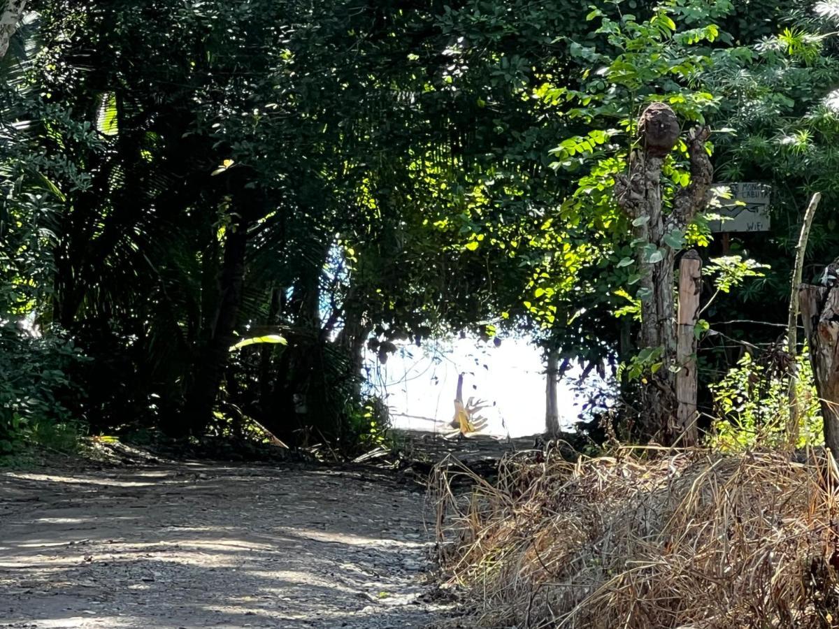Las Plumas De Cabuya Cabuya  Bagian luar foto